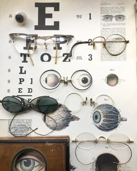 Optika Elena