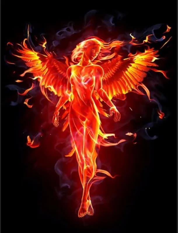 Fenix Beauty