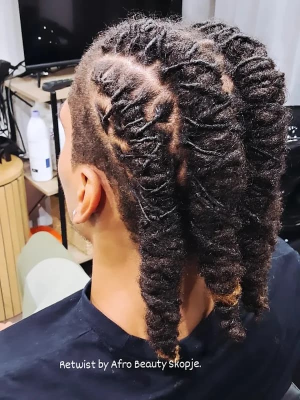 Afro Beauty - Braids by Milena A Miloshevska 1
