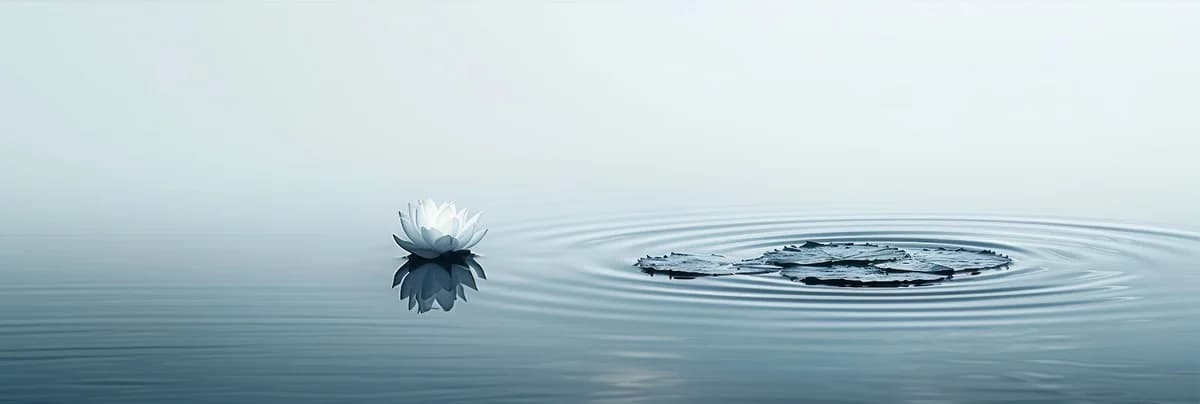 OXYZEN 1