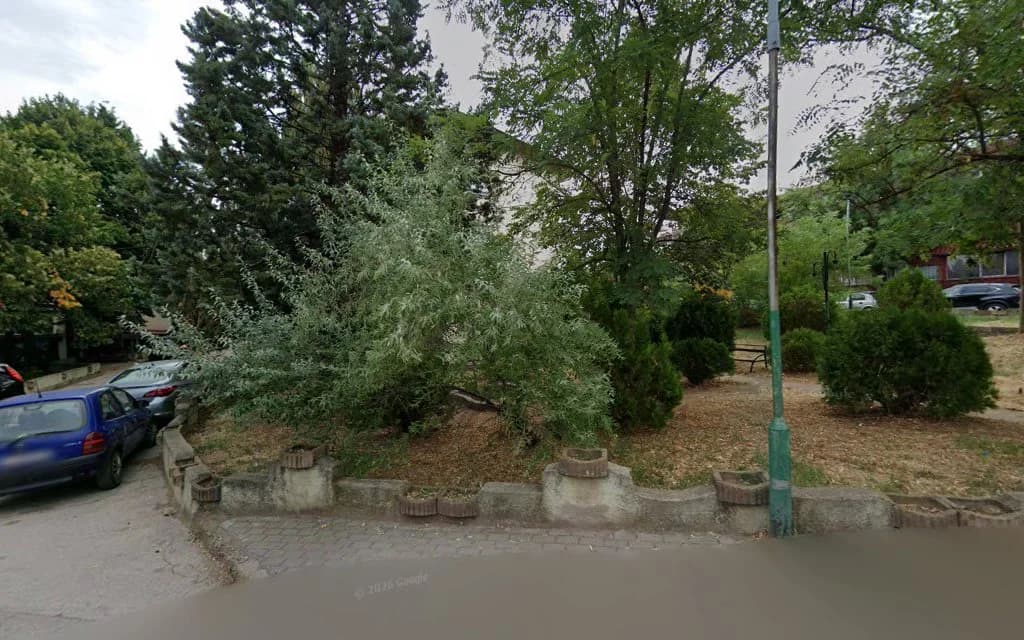 Стоматолошка ординација ПЗУ Д-р Петар Топалов