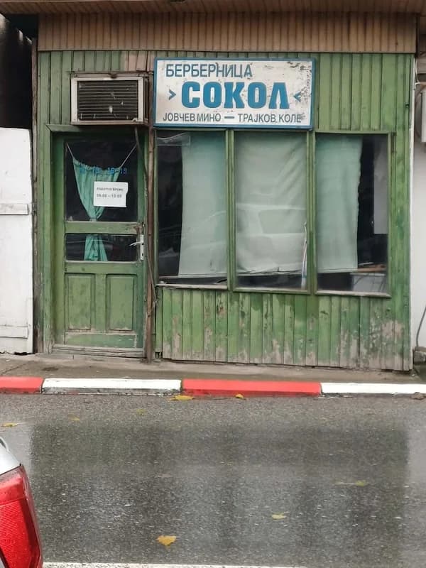 Берберница Сокол