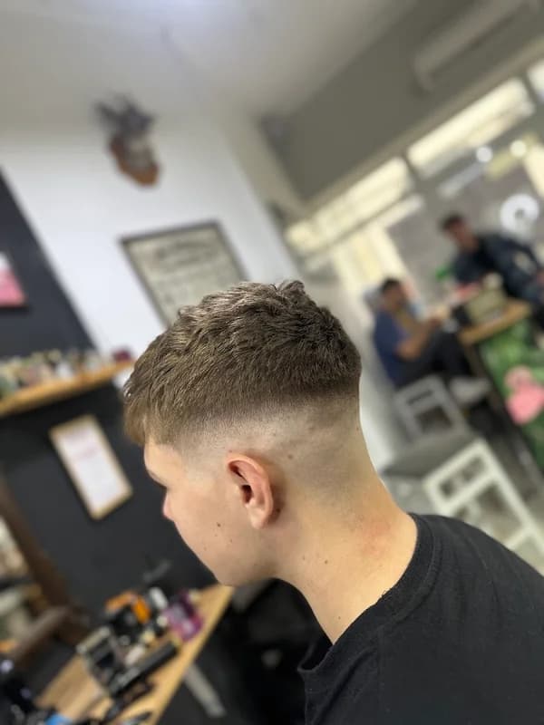 Raccoon's Barbershop 1
