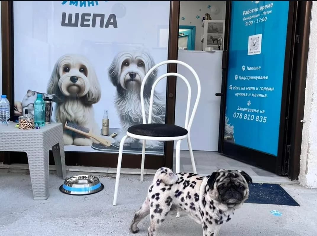 Grooming Salon Shepa