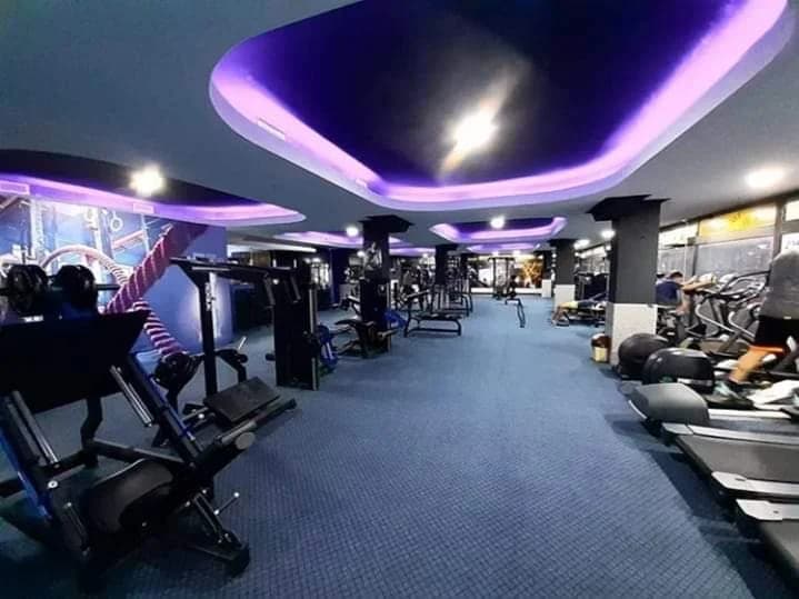 Shark Fitness mk