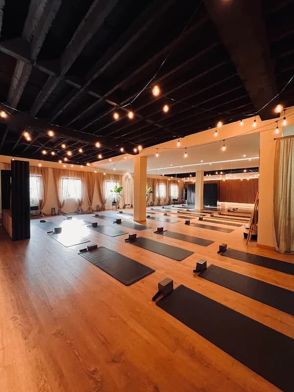 Kensho Mind Hub 1
