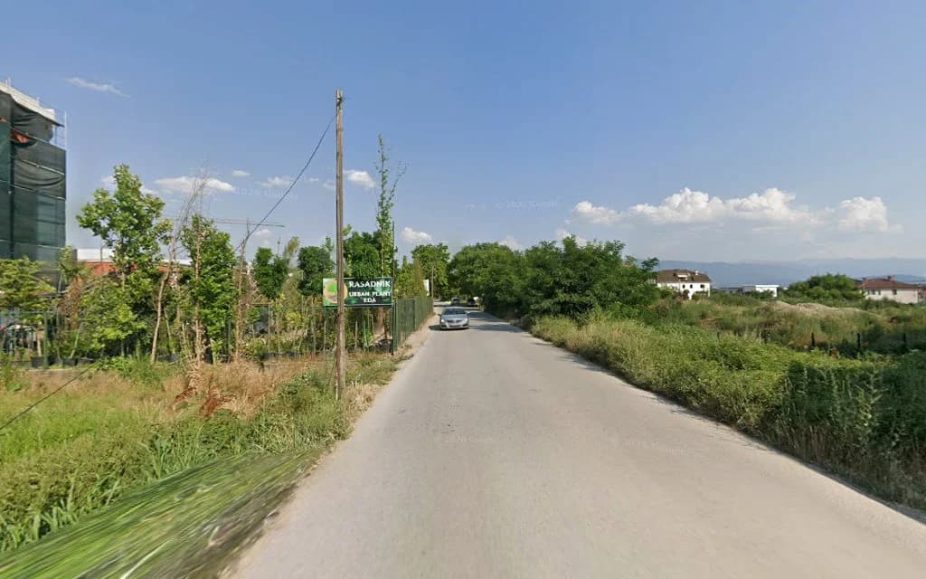 Sanitas