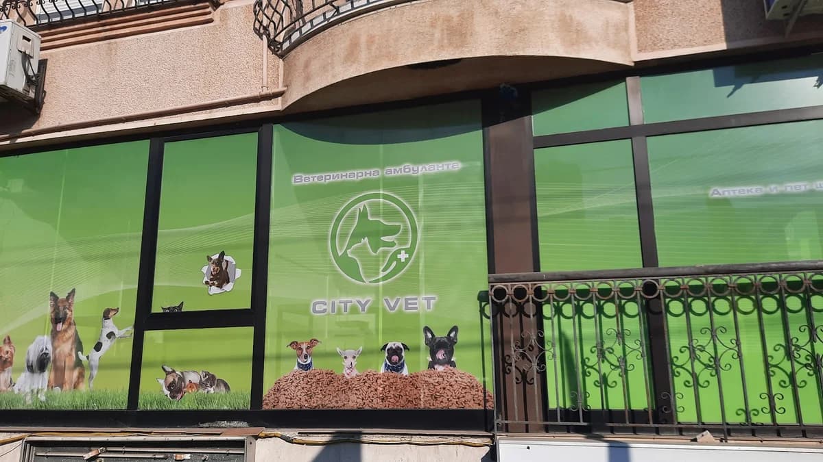 City Vet 1
