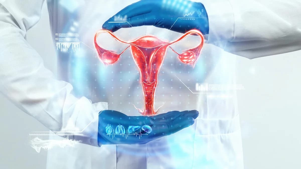Placenta