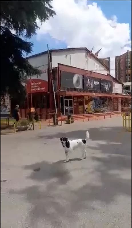 Naučna Hipnoza - Venduzi Terapija 1